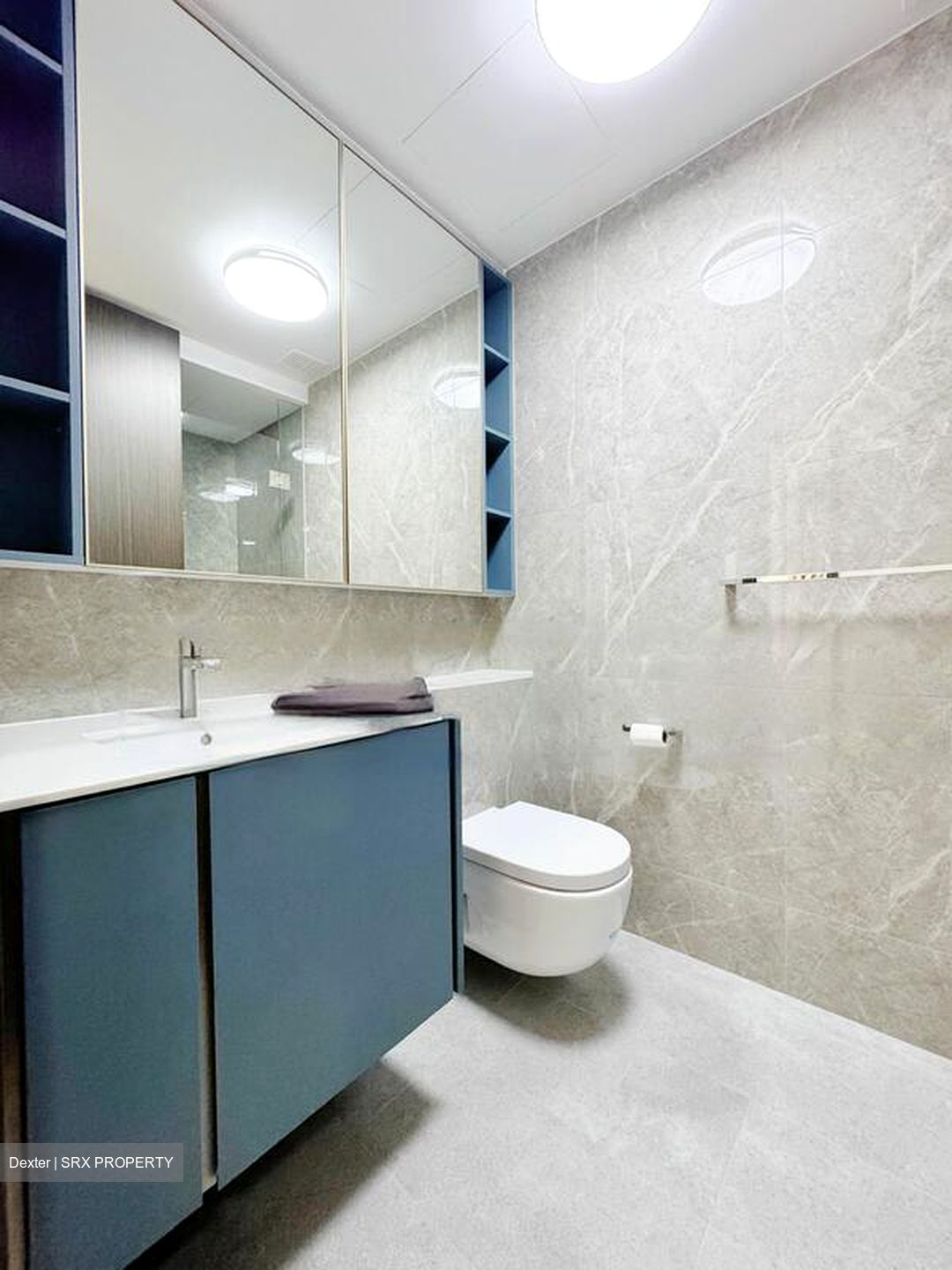 Clavon (D5), Apartment #462266881